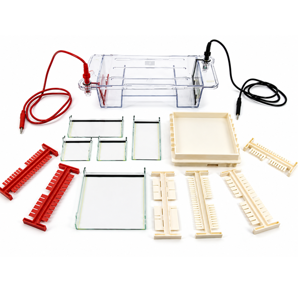 ELECTROPHORESIS-CELL
